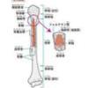 腎臓のはなし３　～腎臓の知られざる役割～