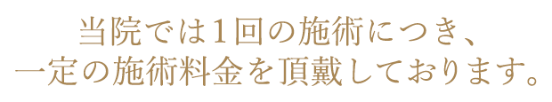 当院では１回の施術につき、一定の施術料金を頂戴しております。